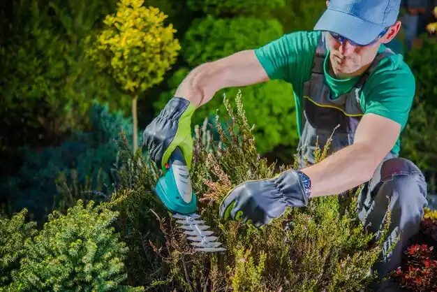 landscaping services Sutherland